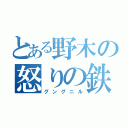 とある野木の怒りの鉄槌（グングニル）