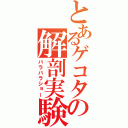 とあるゲコタの解剖実験（バラバラショー）