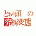 とある頭の究極変態（ざわーい）