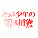 とある少年の怪獣捕獲（ポケモンゲット）