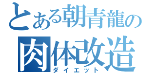 とある朝青龍の肉体改造（ダイエット）