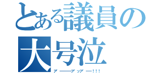 とある議員の大号泣（ア゛ーーーーア゛ッア゛ーー！！！）