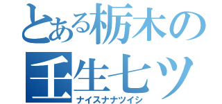 とある栃木の壬生七ツ石（ナイスナナツイシ）