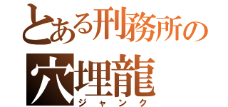 とある刑務所の穴埋龍（ジャンク）