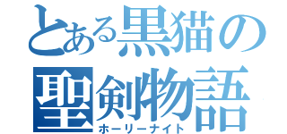 とある黒猫の聖剣物語（ホーリーナイト）