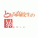 とある高校生の暴   走（カワーイ）