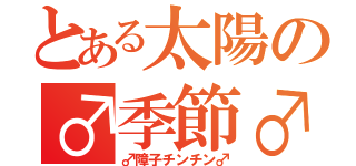 とある太陽の♂季節♂（♂障子チンチン♂）