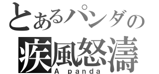 とあるパンダの疾風怒濤（Ａ ｐａｎｄａ）