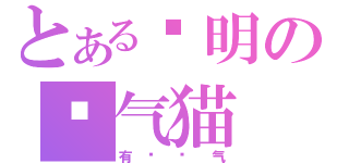 とある聪明の煞气猫（有够煞气）