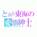 とある東海の変態紳士（アマガミスト）