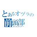 とあるオヅラの前頭部（フェイクヘアー）