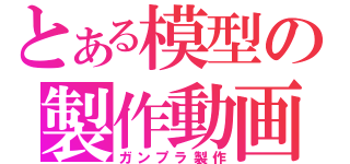 とある模型の製作動画（ガンプラ製作）