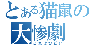 とある猫鼠の大惨劇（これはひどい）