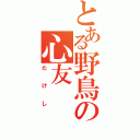 とある野鳥の心友（たけし）