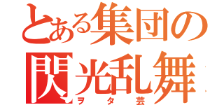 とある集団の閃光乱舞（ヲタ芸）