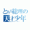 とある総理の天才少年（ガチゲーマー）