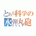 とある科学の水弾丸砲（花野風華）