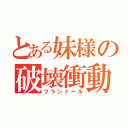 とある妹様の破壊衝動（フランドール）