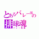 とあるバレー部の排球魂（バレー馬鹿）