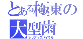 とある極東の大型歯（ホリアキスパイラル）