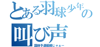 とある羽球少年の叫び声（国体予選優勝じゃぁー）