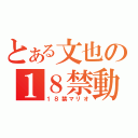 とある文也の１８禁動画（１８禁マリオ）