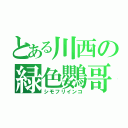 とある川西の緑色鸚哥（シモフリインコ）