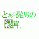 とある髭男の緑茸（１ＵＰ　）