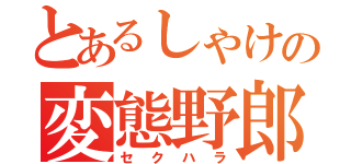 とあるしゃけの変態野郎（セクハラ）