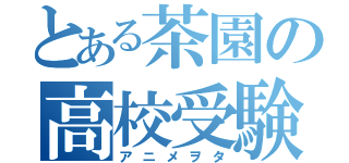 とある茶園の高校受験生（アニメヲタ）