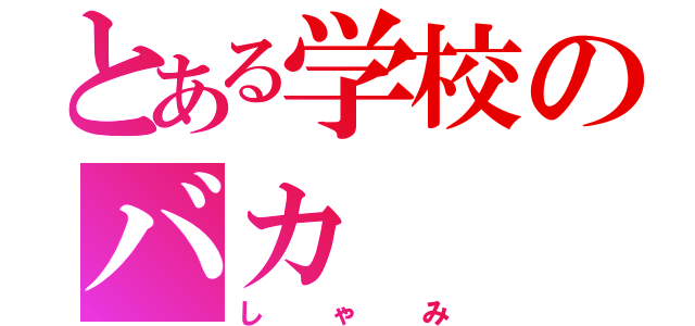 とある学校のバカ（しゃみ）