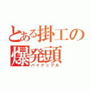 とある掛工の爆発頭（パイナップル）