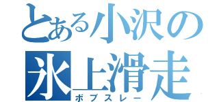 とある小沢の氷上滑走（ボブスレー）