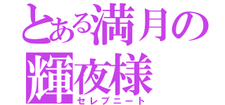 とある満月の輝夜様（セレブニート）