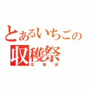 とあるいちごの収穫祭（生放送）