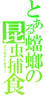 とある蟷螂の昆虫捕食（インセクトキラー）