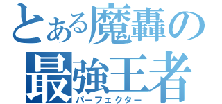 とある魔轟の最強王者（パーフェクター）