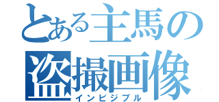 とある主馬の盗撮画像（インビジブル）