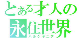 とある才人の永住世界（ハルケギニア）