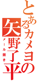 とあるカメヨの矢野了平（メール捌き）