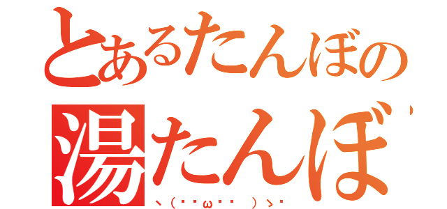 とあるたんぼの湯たんぼ（ヽ（•̀ω•́ ）ゝ✧）