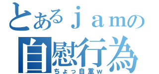 とあるｊａｍの自慰行為（ちょっ自重ｗ）