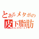 とあるメタボの皮下脂肪（コレステロール）