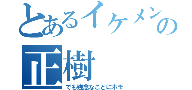 とあるイケメンの正樹（でも残念なことにホモ）