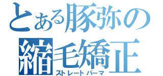 とある豚弥の縮毛矯正（ストレートパーマ）