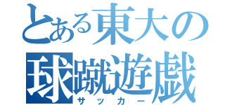 とある東大の球蹴遊戯（サッカー）