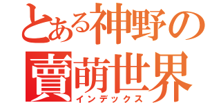 とある神野の賣萌世界（インデックス）