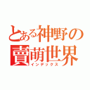 とある神野の賣萌世界（インデックス）