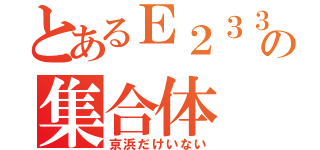 とあるＥ２３３の集合体（京浜だけいない）