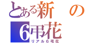 とある新の６弔花（リアル６弔花）